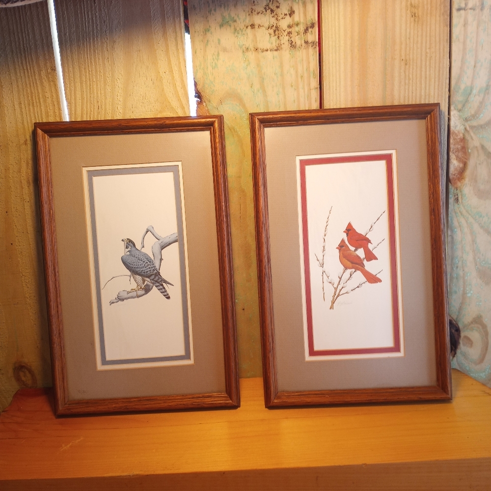 Elegant Framed Bird Art Prints - Blue and Red Highlights